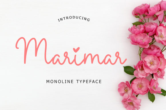 Marimar Script Amp: A Designer’s Honest Review