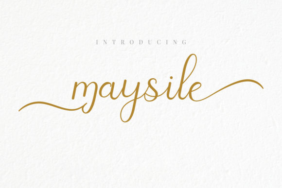 Maysile Script Amp Review: A Designer’s Perspective