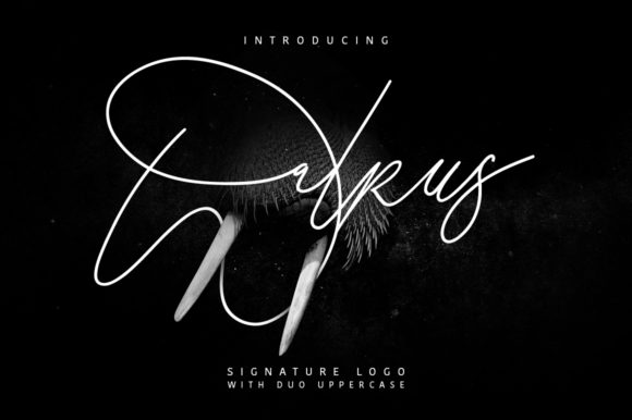 Walrus: A Script Font for Elegant Small Business Branding